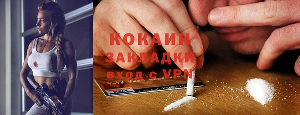 прущий лед Дмитриев
