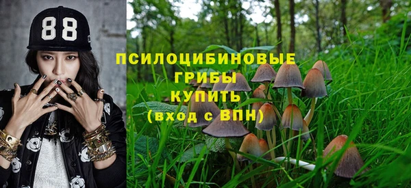 амф Дмитровск