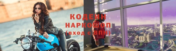 прущий лед Дмитриев
