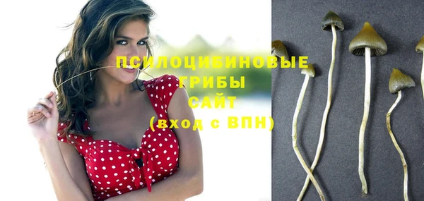 прущий лед Дмитриев