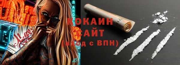 прущий лед Дмитриев