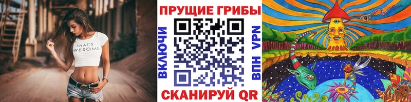 Купить где  Назарово  Галлюциногенные грибы MAGIC MUSHROOMS 